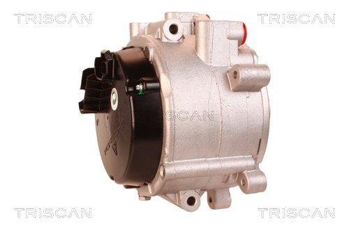 Alternateur Triscan A/S 8310 29028