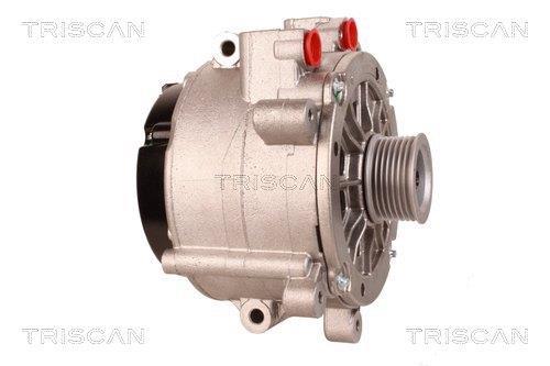 Alternateur Triscan A/S 8310 29028