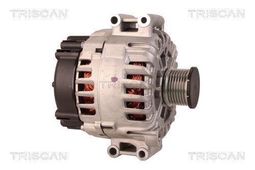 Alternateur Triscan A/S 8310 29030