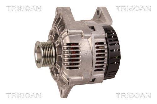 Alternateur Triscan A/S 8310 29030