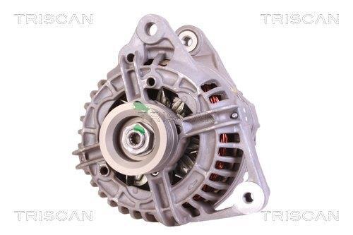 Alternateur Triscan A/S 8310 29031