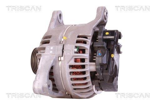 Alternateur Triscan A/S 8310 29031