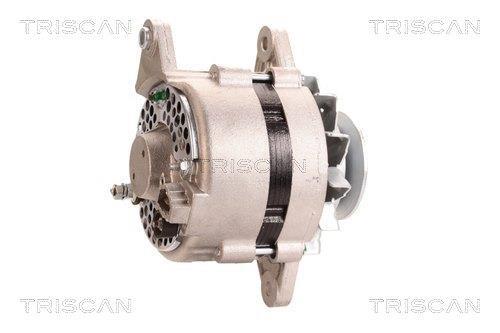 Alternateur Triscan A/S 8310 29034