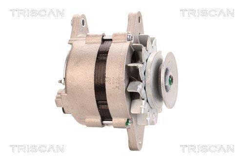 Alternateur Triscan A/S 8310 29034