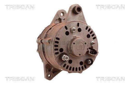 Alternateur Triscan A/S 8310 29035