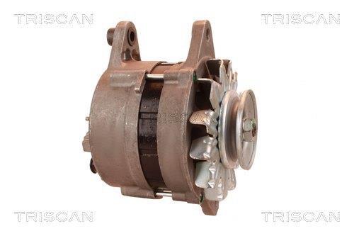 Alternateur Triscan A/S 8310 29035