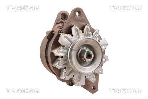 Alternateur Triscan A/S 8310 29035