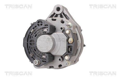 Alternateur Triscan A/S 8310 29037