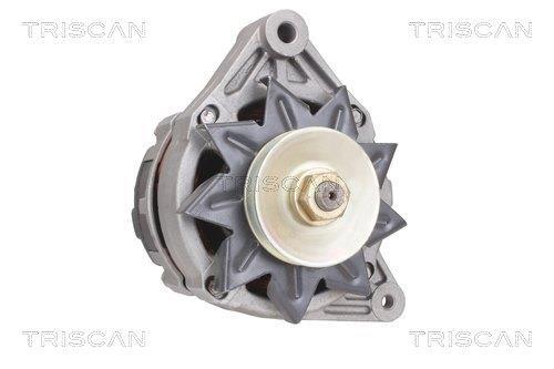 Alternateur Triscan A/S 8310 29037