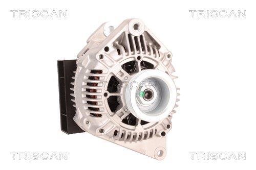 Alternateur Triscan A/S 8310 29040