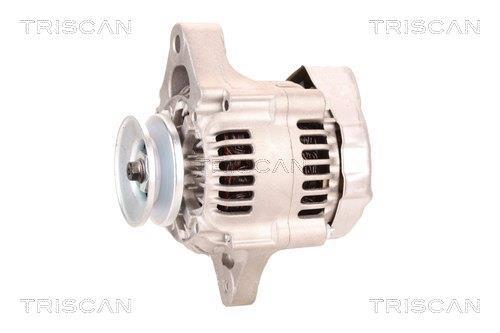 Alternateur Triscan A/S 8310 29040
