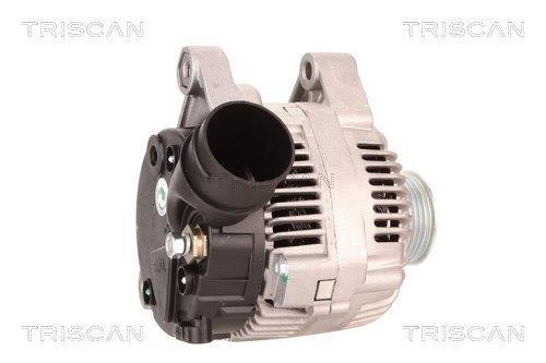 Alternateur Triscan A/S 8310 29042