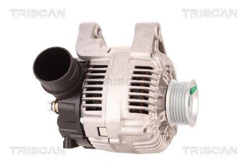 Alternateur Triscan A/S 8310 29042