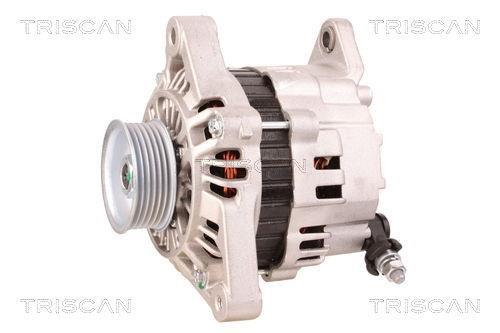 Alternateur Triscan A/S 8310 29043
