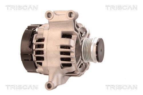 Alternateur Triscan A/S 8310 29052