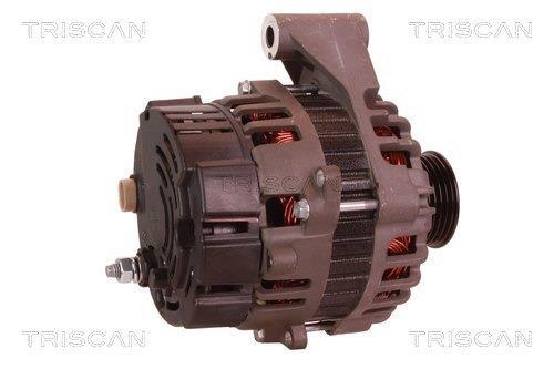 Alternateur Triscan A/S 8310 29053