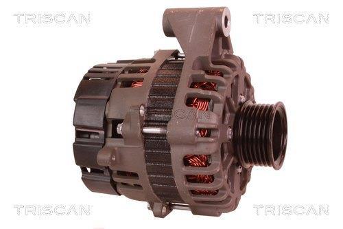 Alternateur Triscan A/S 8310 29053