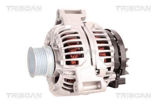 Alternateur Triscan A/S 8310 29053