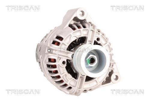 Alternateur Triscan A/S 8310 29054