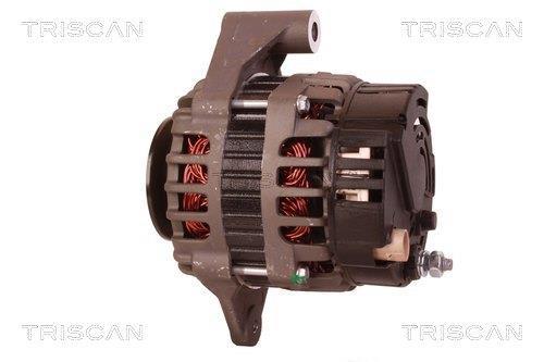 Alternateur Triscan A/S 8310 29054