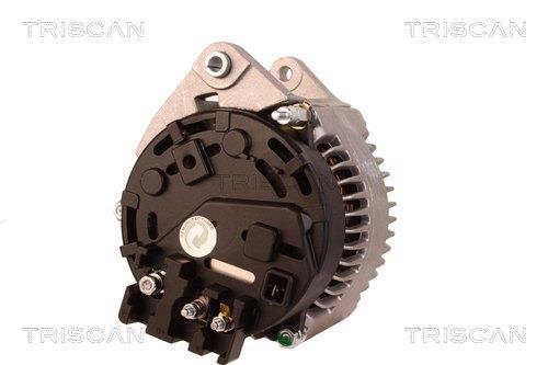 Alternateur Triscan A/S 8310 29055