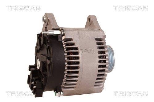 Alternateur Triscan A/S 8310 29055