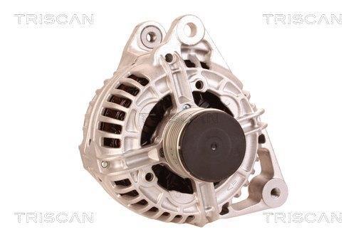 Alternateur Triscan A/S 8310 29058