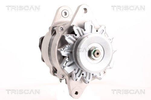 Alternateur Triscan A/S 8310 29064