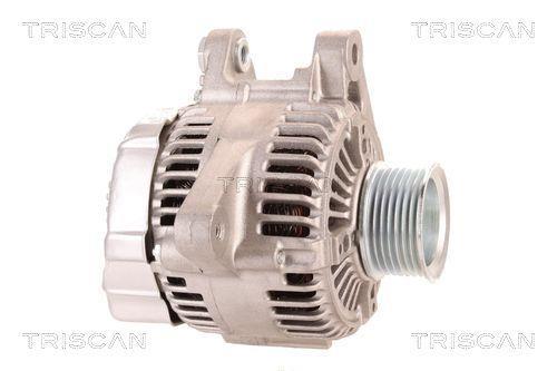 Alternateur Triscan A/S 8310 29067
