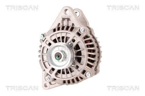 Alternateur Triscan A/S 8310 29067