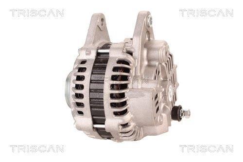 Alternateur Triscan A/S 8310 29067