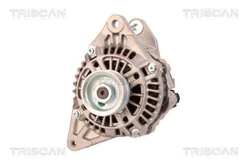 Alternateur Triscan A/S 8310 29068