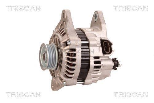 Alternateur Triscan A/S 8310 29068
