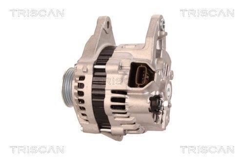Alternateur Triscan A/S 8310 29068