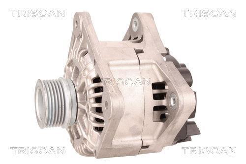 Alternateur Triscan A/S 8310 29069