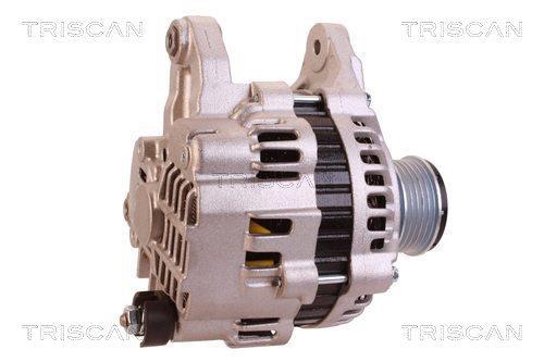 Alternateur Triscan A/S 8310 29073