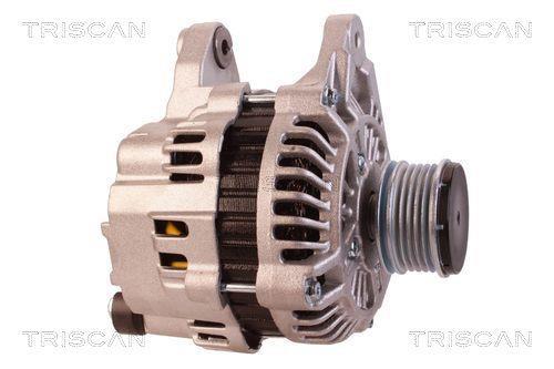 Alternateur Triscan A/S 8310 29073
