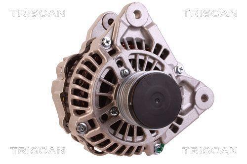 Alternateur Triscan A/S 8310 29073