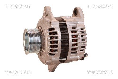 Alternateur Triscan A/S 8310 29073