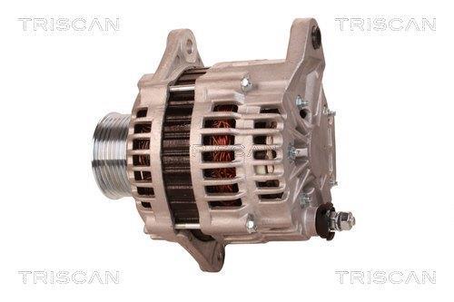 Alternateur Triscan A/S 8310 29073