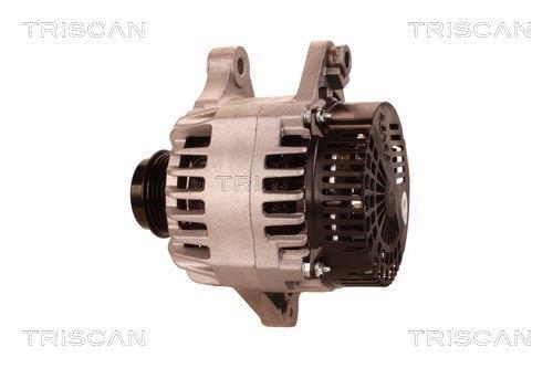 Alternateur Triscan A/S 8310 29074