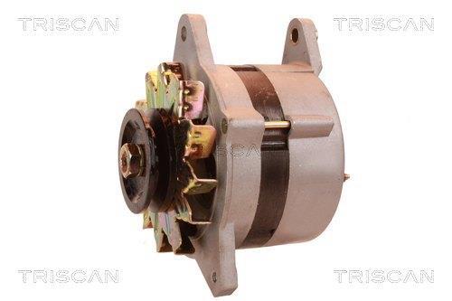 Alternateur Triscan A/S 8310 29077