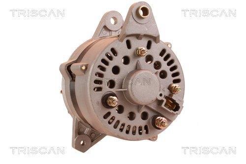 Alternateur Triscan A/S 8310 29077