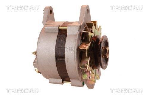 Alternateur Triscan A/S 8310 29077
