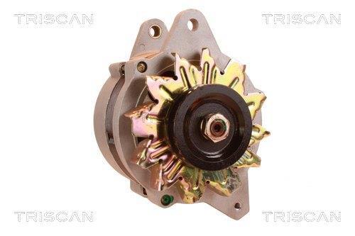 Alternateur Triscan A/S 8310 29077