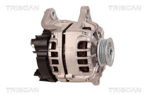 Alternateur Triscan A/S 8310 29084