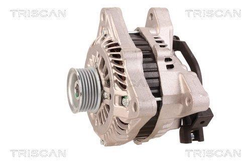 Alternateur Triscan A/S 8310 29093