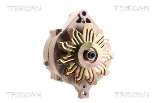 Alternateur Triscan A/S 8310 29094