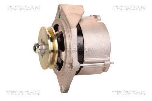 Alternateur Triscan A/S 8310 29097