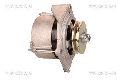 Alternateur Triscan A/S 8310 29097